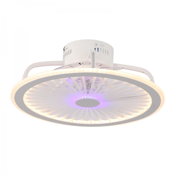 D301紫（zǐ）-500大